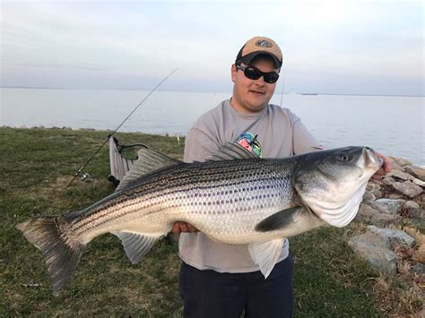 Best Shore Fishing Spots Near Me—No Boat Required .